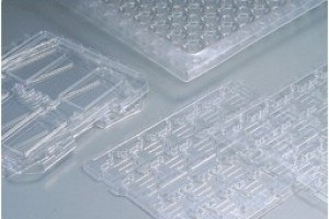 APET Sheet